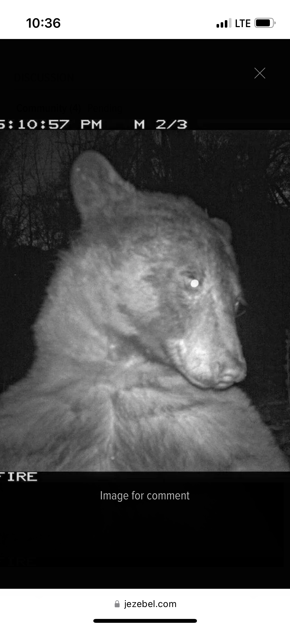 Profile picture of j