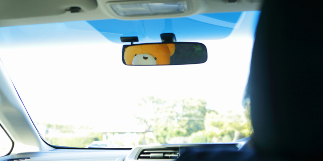 a yellow teddy bear looks into a rearview mirror in a car