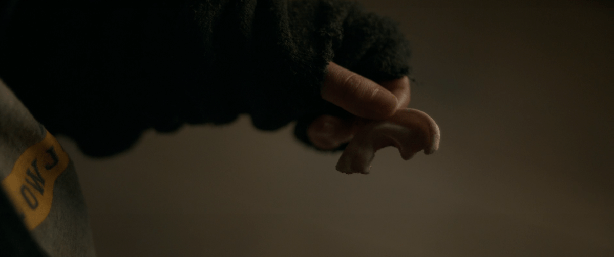a hand holds a detached ear