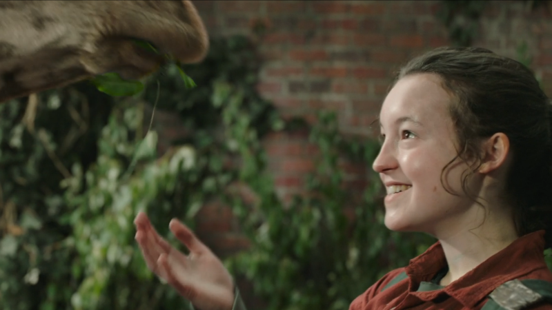 The Last of Us: Bella Ramsey as Ellie feeding a giraffe