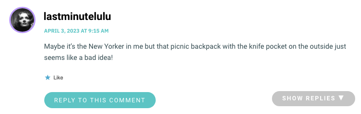 Maybe it’s the New Yorker in me but that picnic backpack with the knife pocket on the outside just seems like a bad idea!