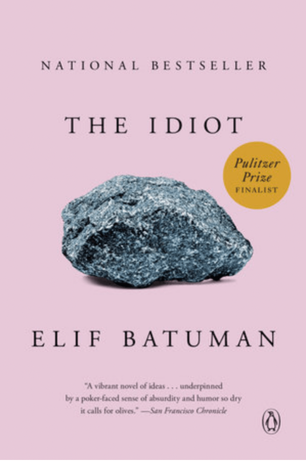 the cover of the idiot has a rock on it