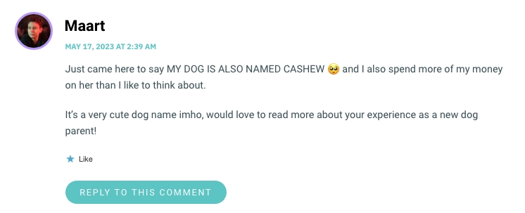 Just came here to say MY DOG IS ALSO NAMED CASHEW 🥺 and I also spend more of my money on her than I like to think about. It’s a very cute dog name imho, would love to read more about your experience as a new dog parent!