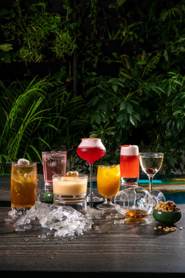 a gorgeous array of alcoholic beverages in various types of glassware, nuts, ice, and lush greenery in the background
