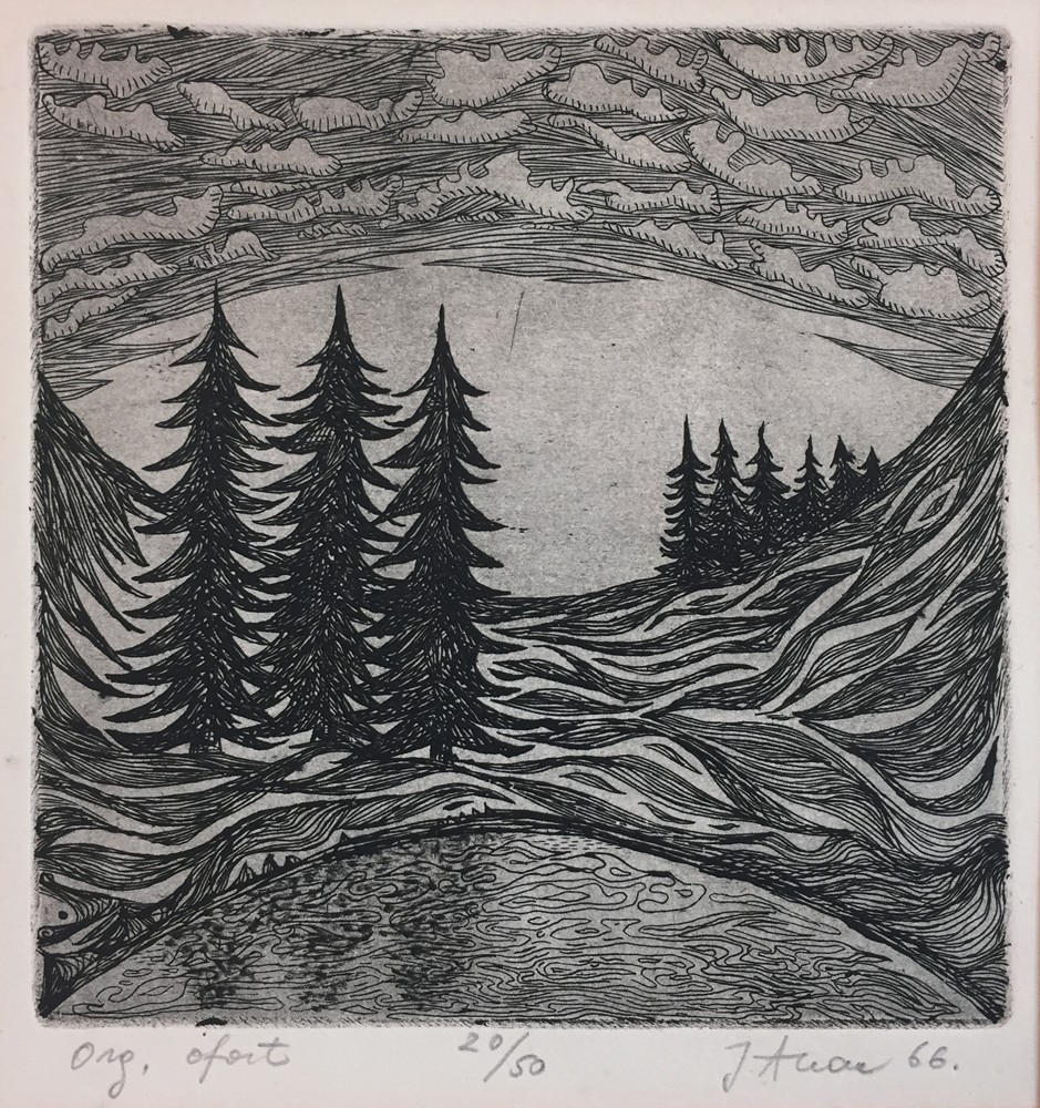 Profile picture of Liz