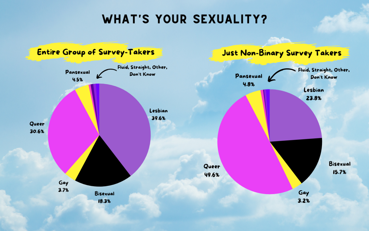 A chart showing the breakdown of sexuality among all readers vs just nonbinary readers. 39.6% lesbian, 18.3% bisexual, 30.6% queer, 3.7% gay, 4.5% pansexual, with a small contingency of people identifying along the lines of fluid, straight, other and do not know. For nonbinary people, the percentages worked out to 23.8% lesbian, 15.7% bisexual, 49.6% queer, 4.8% pansexual, 3.2% gay, and again, a very small contingency of people identifying as fluid, straight, other, don't know