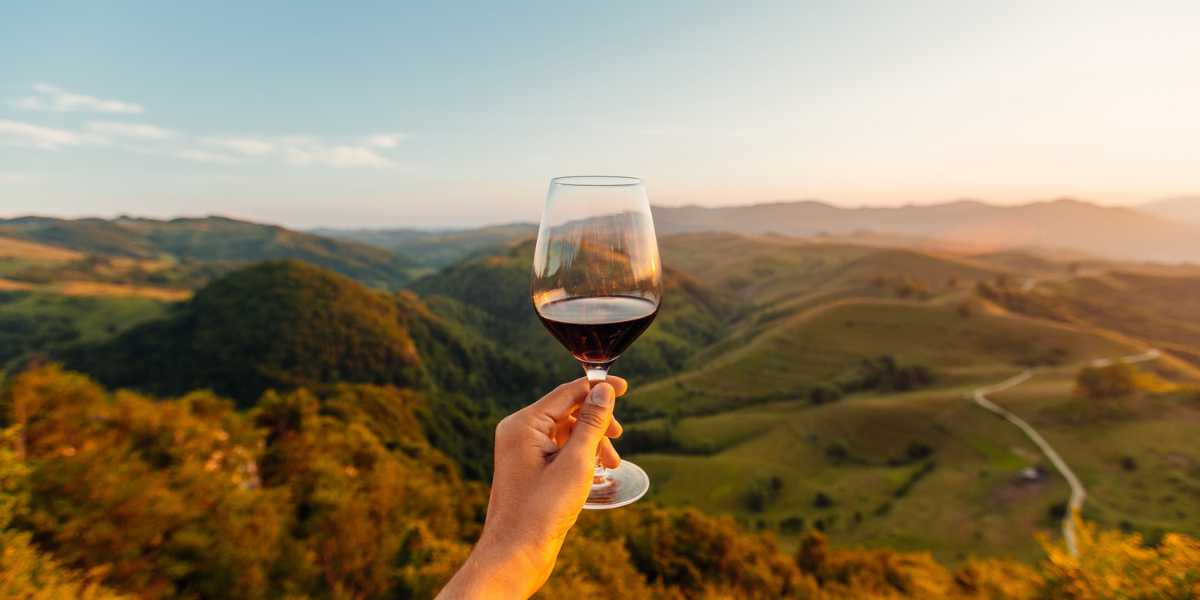 a hand holding a glass of natural wine