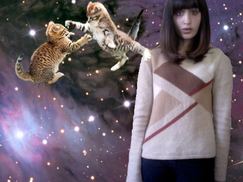 the vibe of this image is almost indescribable but there is a starry background upon which two cats are fighting. then, superimposed on that, is a photo of kayla, in a geometric sweater with zoey deschanel bangs and shoulder length straight dark hair making a kind of ironic face