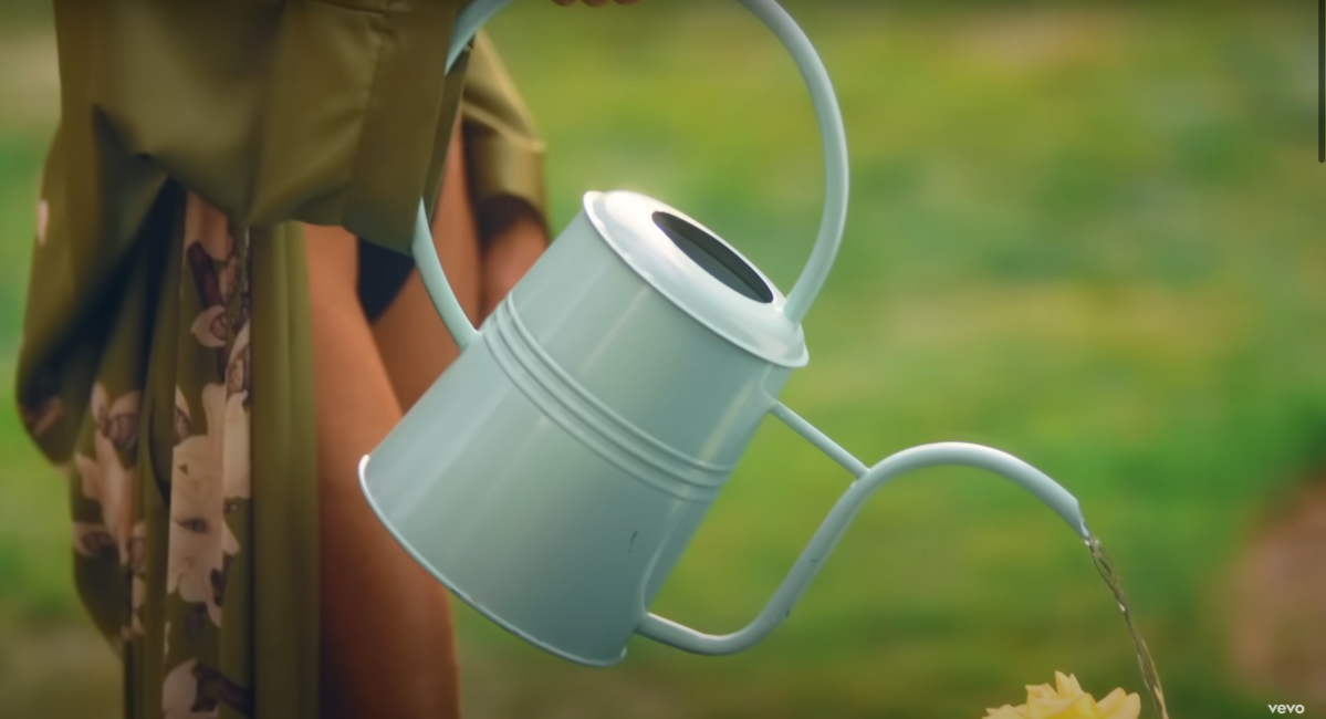 Kyle holding a watering can in the Fall in Love With Me music video