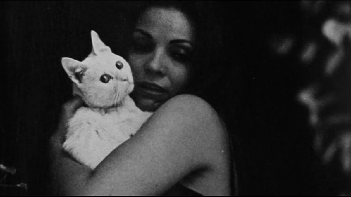 in black and white, a woman holds a white cat