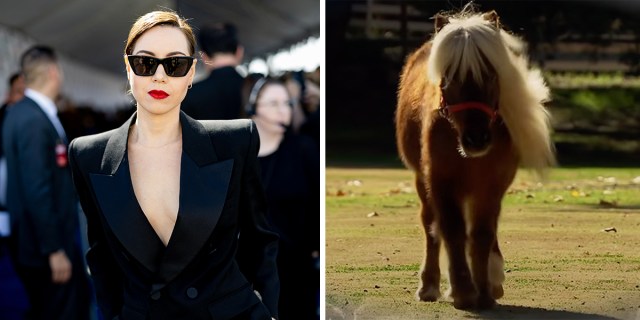 Aubrey Plaza in a black suit and sunglasses / the mini-horse who plays Lil Sebastian