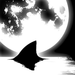 Profile picture of MoonShark