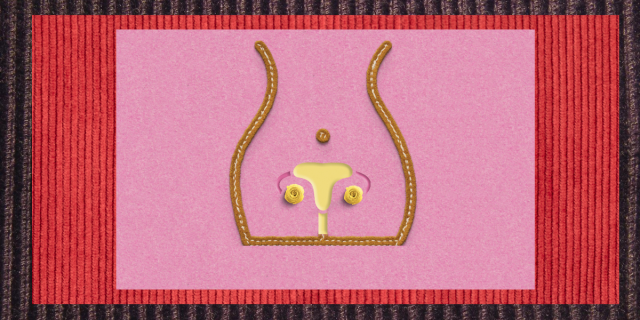A multi-layered collage of corduroy fabric, in dark brown, then red, and finally pink. On top of the pink fabric is the outline of a person's body with buttons outlining reproductive organs.