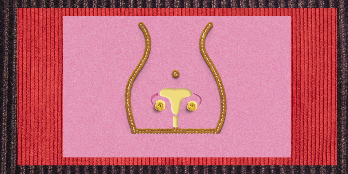 A multi-layered collage of corduroy fabric, in dark brown, then red, and finally pink. On top of the pink fabric is the outline of a person's body with buttons outlining reproductive organs.