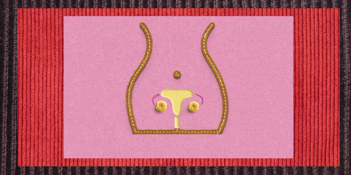 A multi-layered collage of corduroy fabric, in dark brown, then red, and finally pink. On top of the pink fabric is the outline of a person's body with buttons outlining reproductive organs.