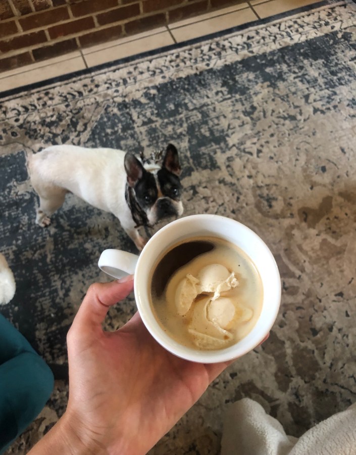 a hand holding a white cup with vanilla gelato and espresso in it and a white and black french bulldog looking up at it