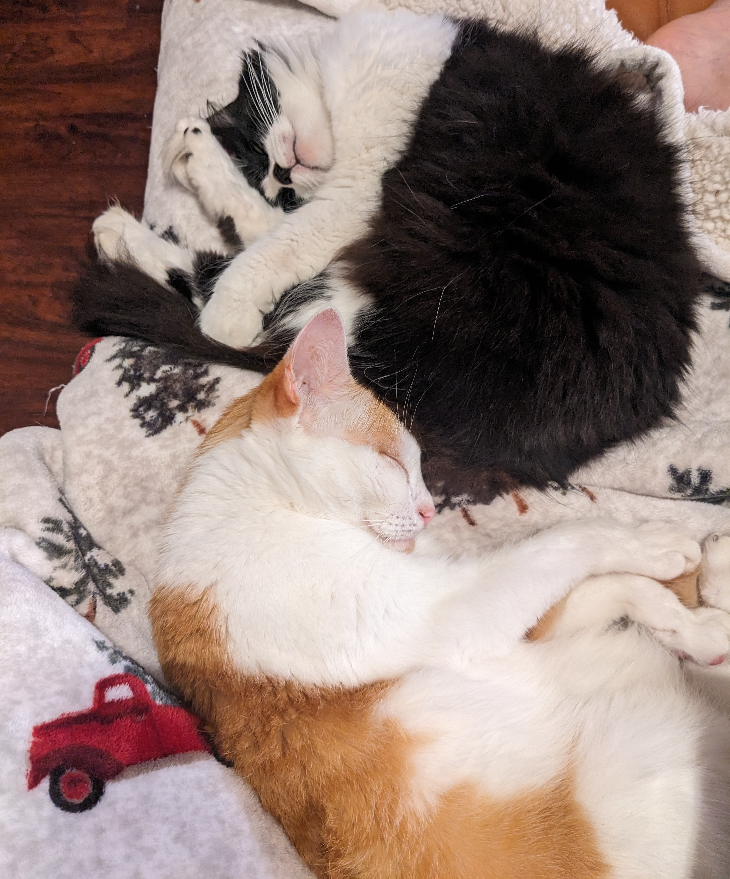 Profile picture of Steph