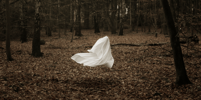 a ghost moving through the woods spookily