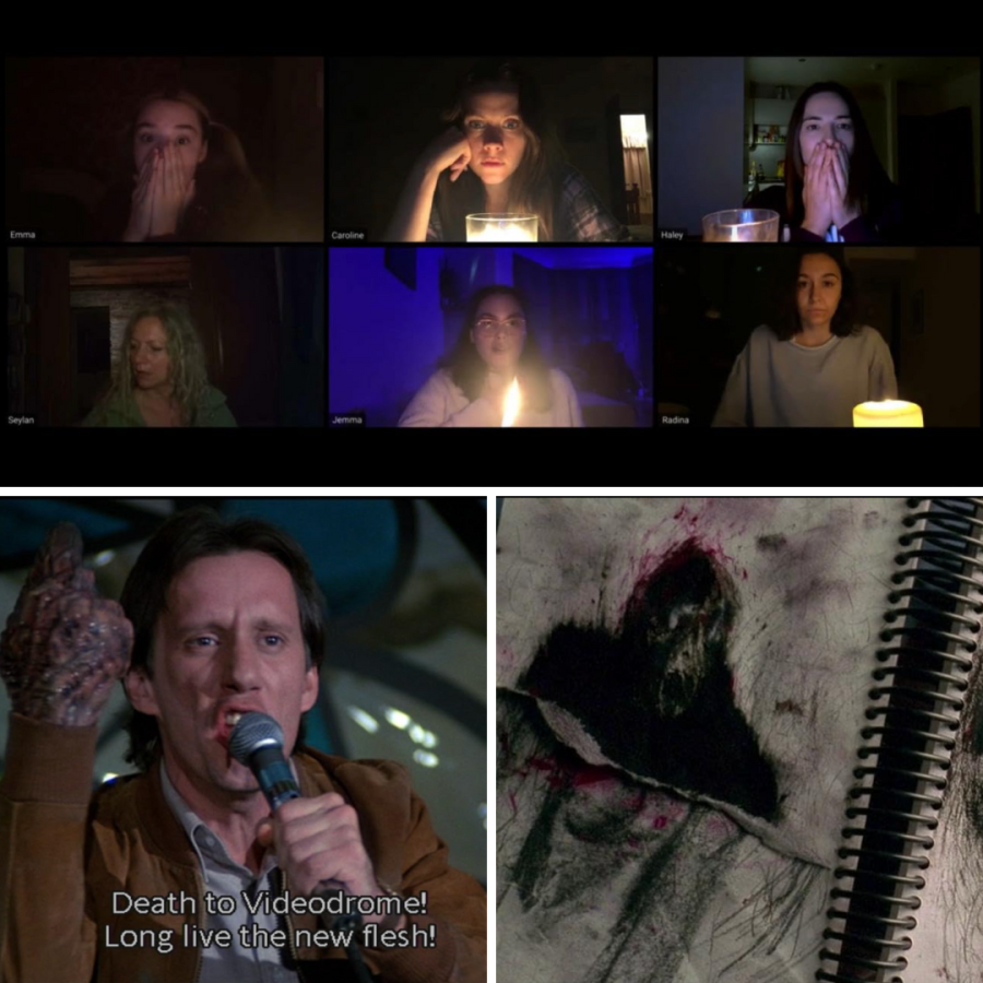the horror movie zodiac mood board for aquarius features screen grabs from host, videodrome and the mothman prophesies