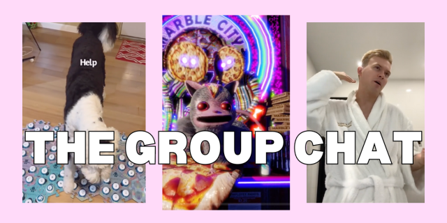 a collage of three images from tiktok, one is one of those button using dogs now saying "help," another is the weird animated pizza possum, and a third is a white gay in a bathrobe. over top, text reads: The Group Chat