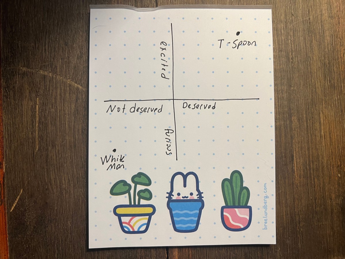 A four quadrant chart that is hand drawn by Heather and has T-Spoon in the quadrant for Excited and Deserved, and "white man" under angry and not deserved.