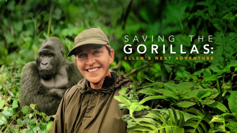 The poster for Saving the Gorillas: Ellen's Next Adventure. A photo of Ellen smiling is photoshopped in front of a wide shot of a gorilla in a jungle. 