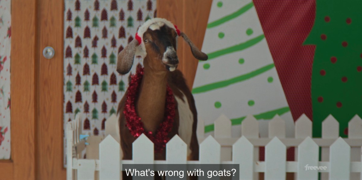 WHat's wrong with goats?