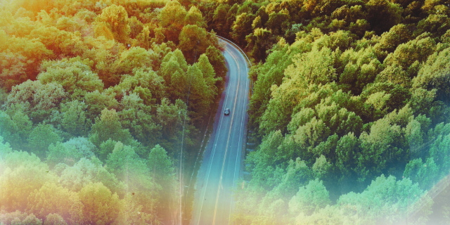 a photo of a road within a forest, taken from an aerial view. a single car drives along the road. the photo is fading into a rainbow effect, as though overexposed