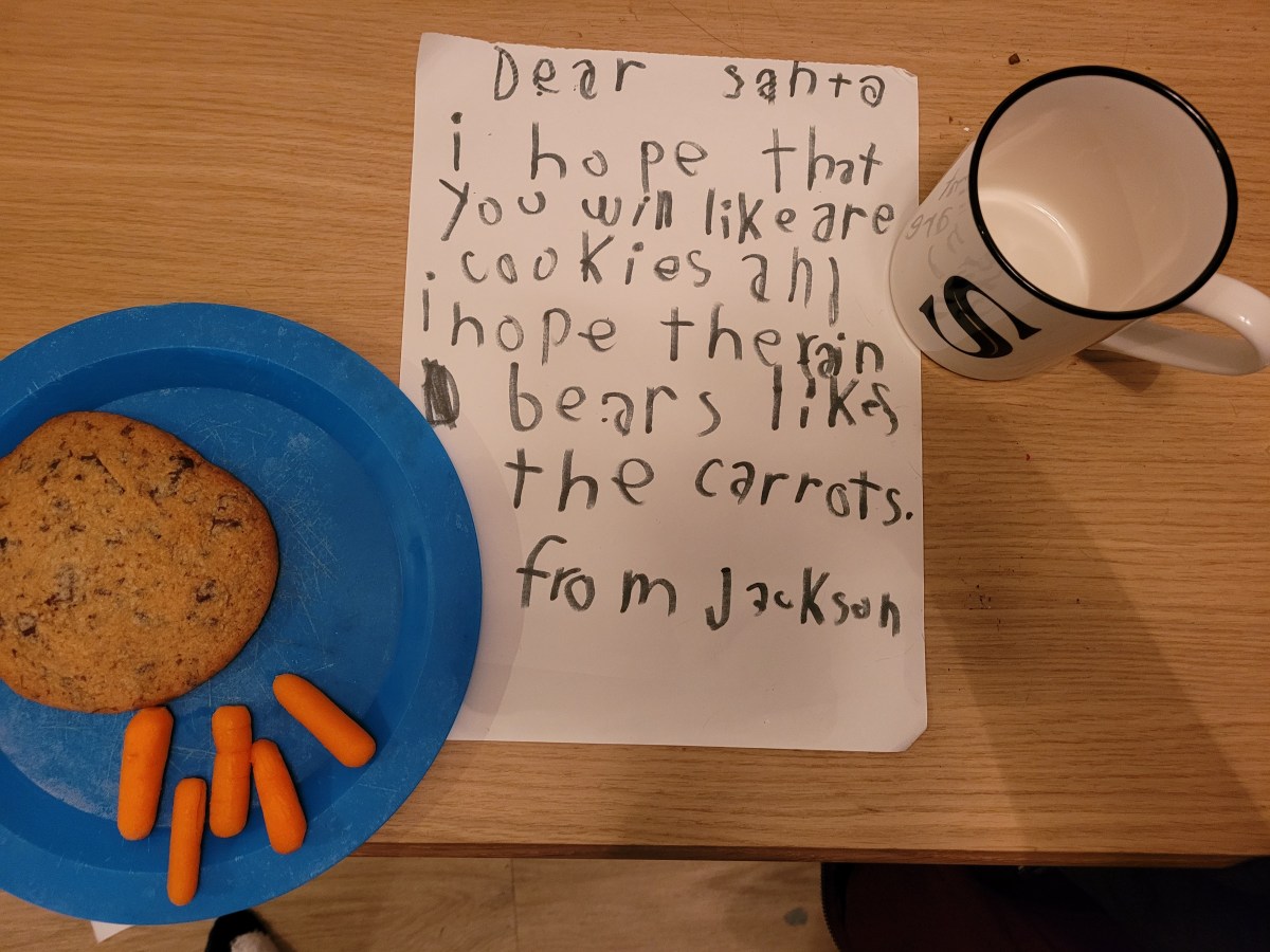 a letter to santa that reads DEAR SANTA I HOPE THAT YOU WILL LIKE OUR COOKIES AND I HOPE THE RAINBEARS LIKES THE CARROTS FROM JACKSON