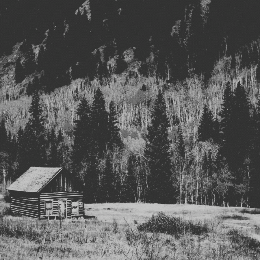 a moving GIF featuring a black and white photo of a cabin in a wild landscape shows has a bright purple ram appear on it and then get closer to the camera