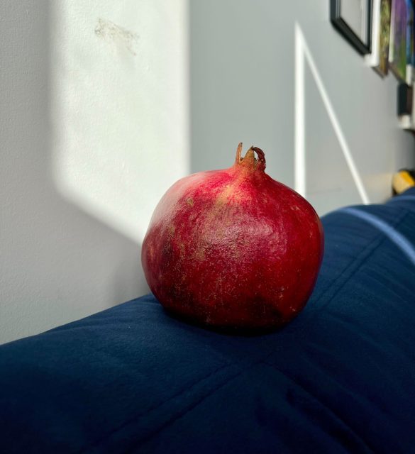 a pomegranate sitting on a blue velvet couch.