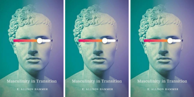 Masculinity in Transition by K Allison Hammer