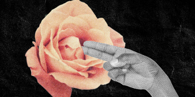 a collage showing a greyscale hand with two fingers extended in a fingering position approaching the center of a pink rose, all on a black background