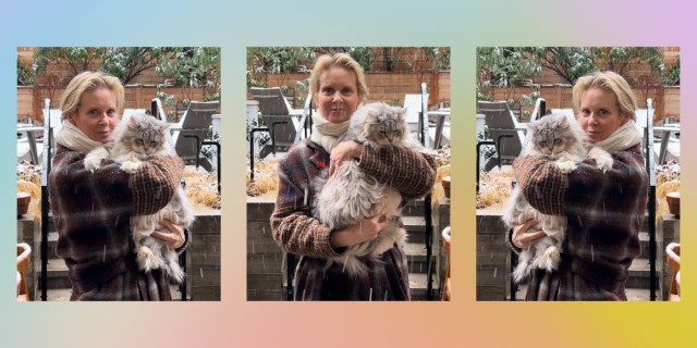 A collage against a pastel rainbow background of Cynthia Nixon holding her cat outside in the snow