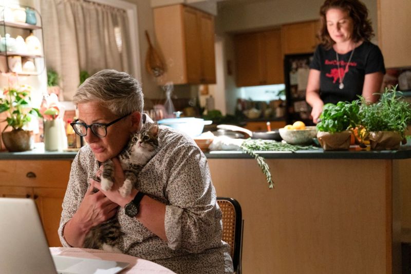 Velma (Abby McEnany) clutches a kitten while examining information on her laptop, while her wife, Teddi (Robin Weigert), cuts vegetables nearby in the kitchen. 