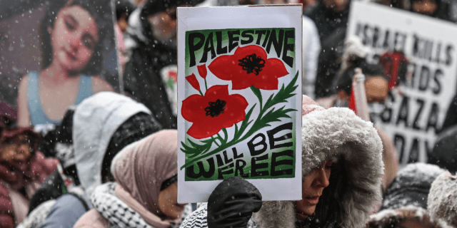 a protestor holds a sign that reads PALESTINE WILL BE FREE