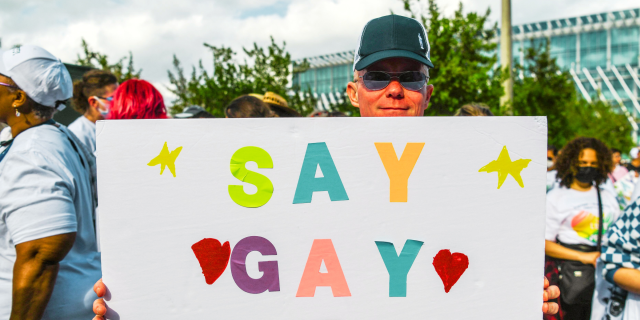 a protester holds a sign that says SAY GAY