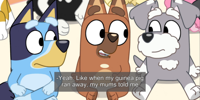 The cartoon Bluey has the Chihuahua Pretzel saying: -"Yeah. Like when my guinea pig ran away, my mums told me..."