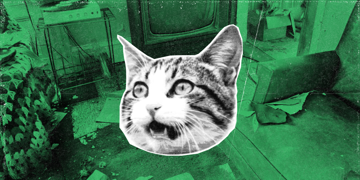 a concerned looking cat head mews in black and white against a green-toned photo of a messy room