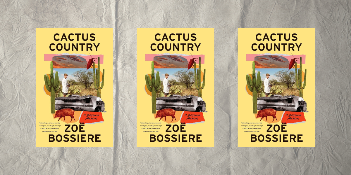 Cactus Country by Zoe Bossiere