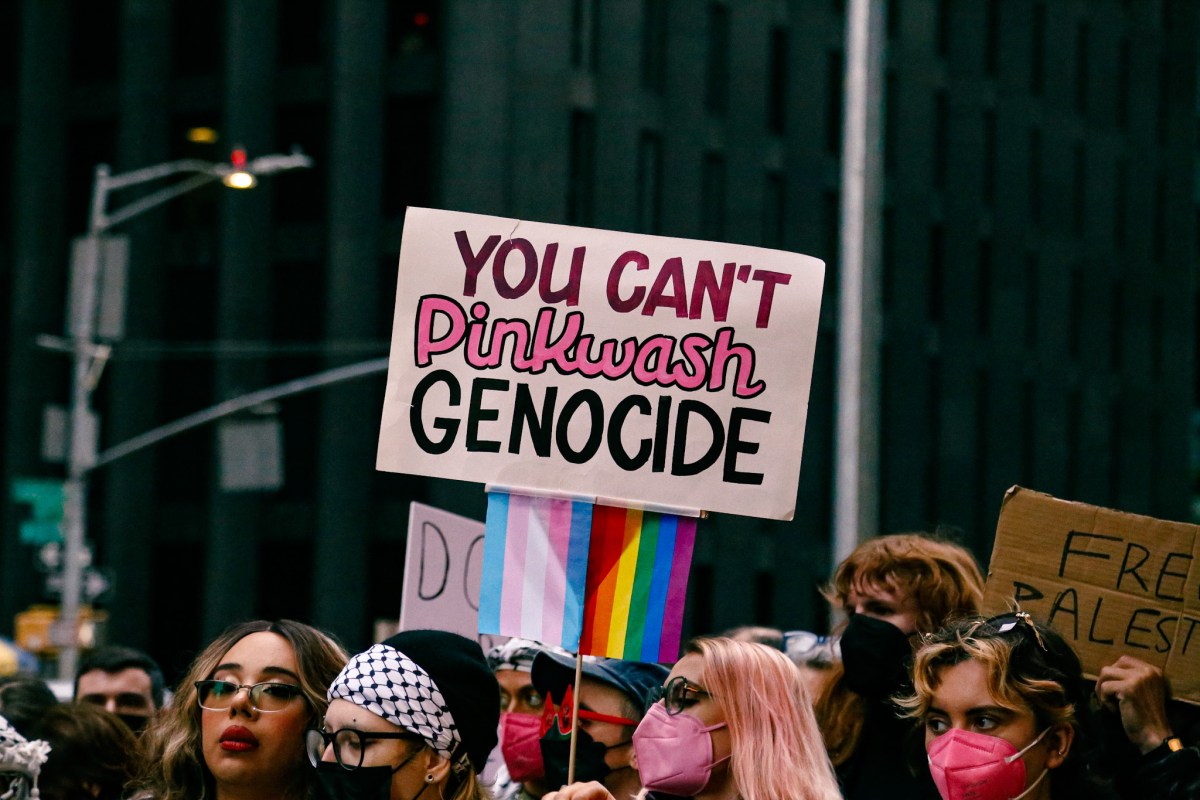 a sign that says YOU CAN'T PINKWASH GENOCIDE