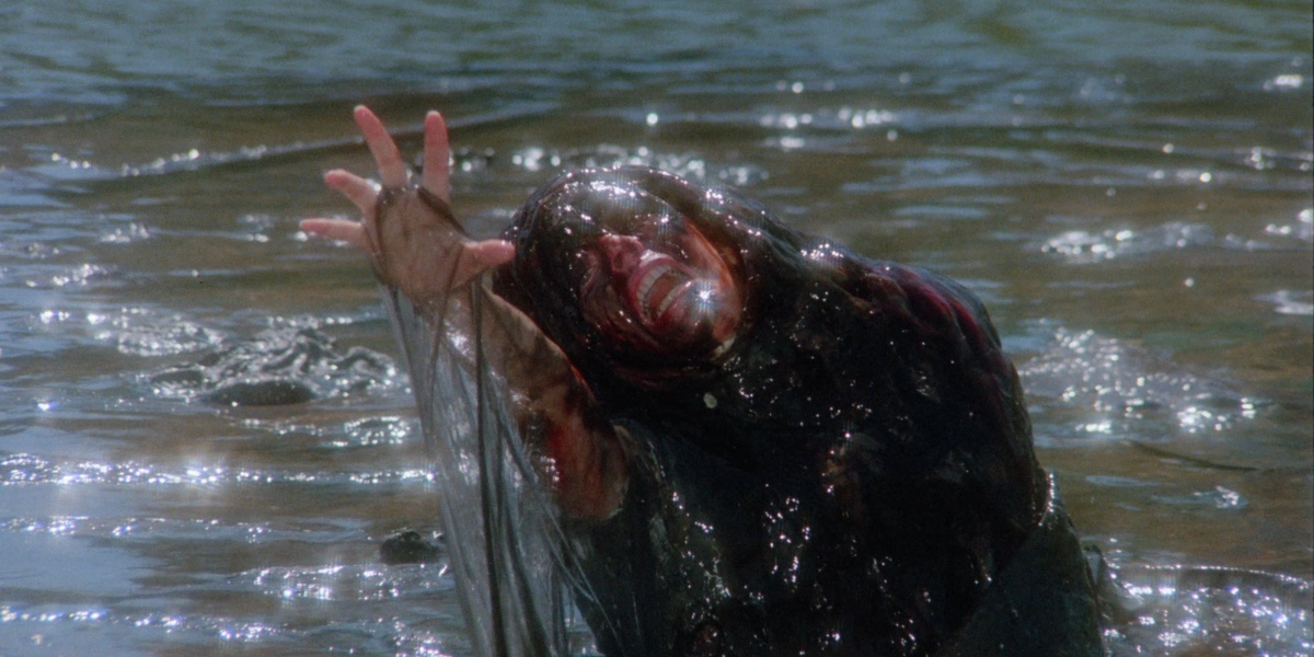 dead creature reaching out of water in Creepshow 2