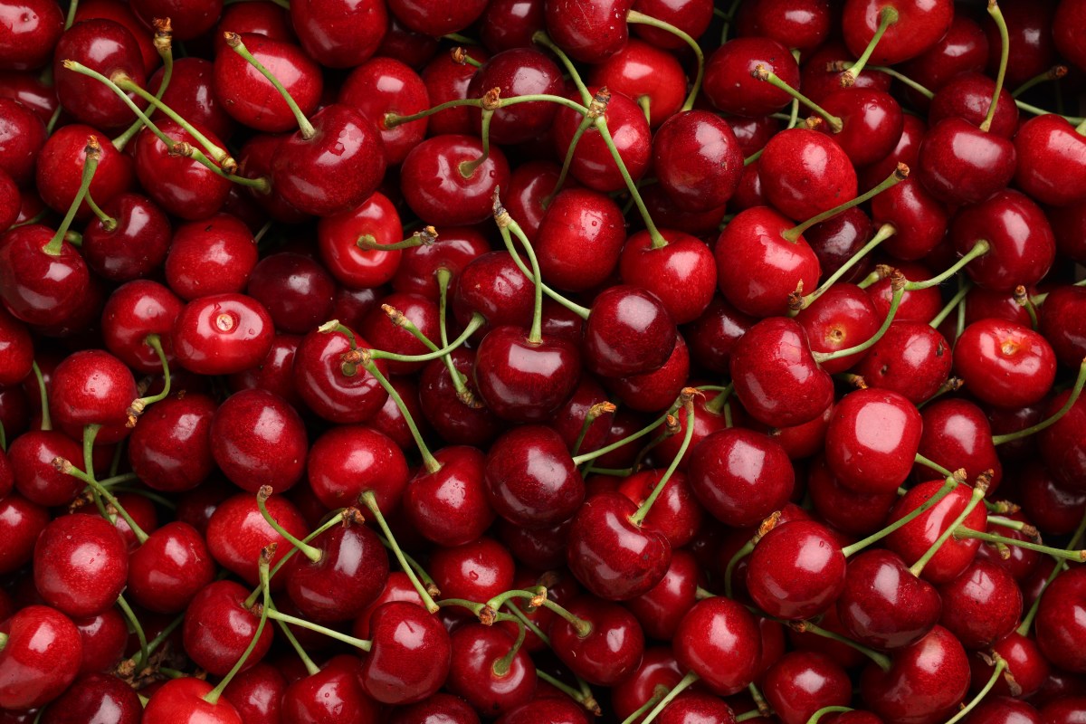 Ripe sweet cherries as background, top view