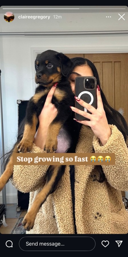 A screenshot of a girl holding a puppy with the text Stop growing so fast