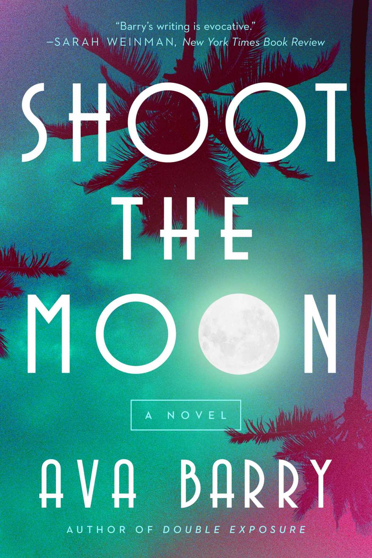 Shoot the Moon by Ava Barry