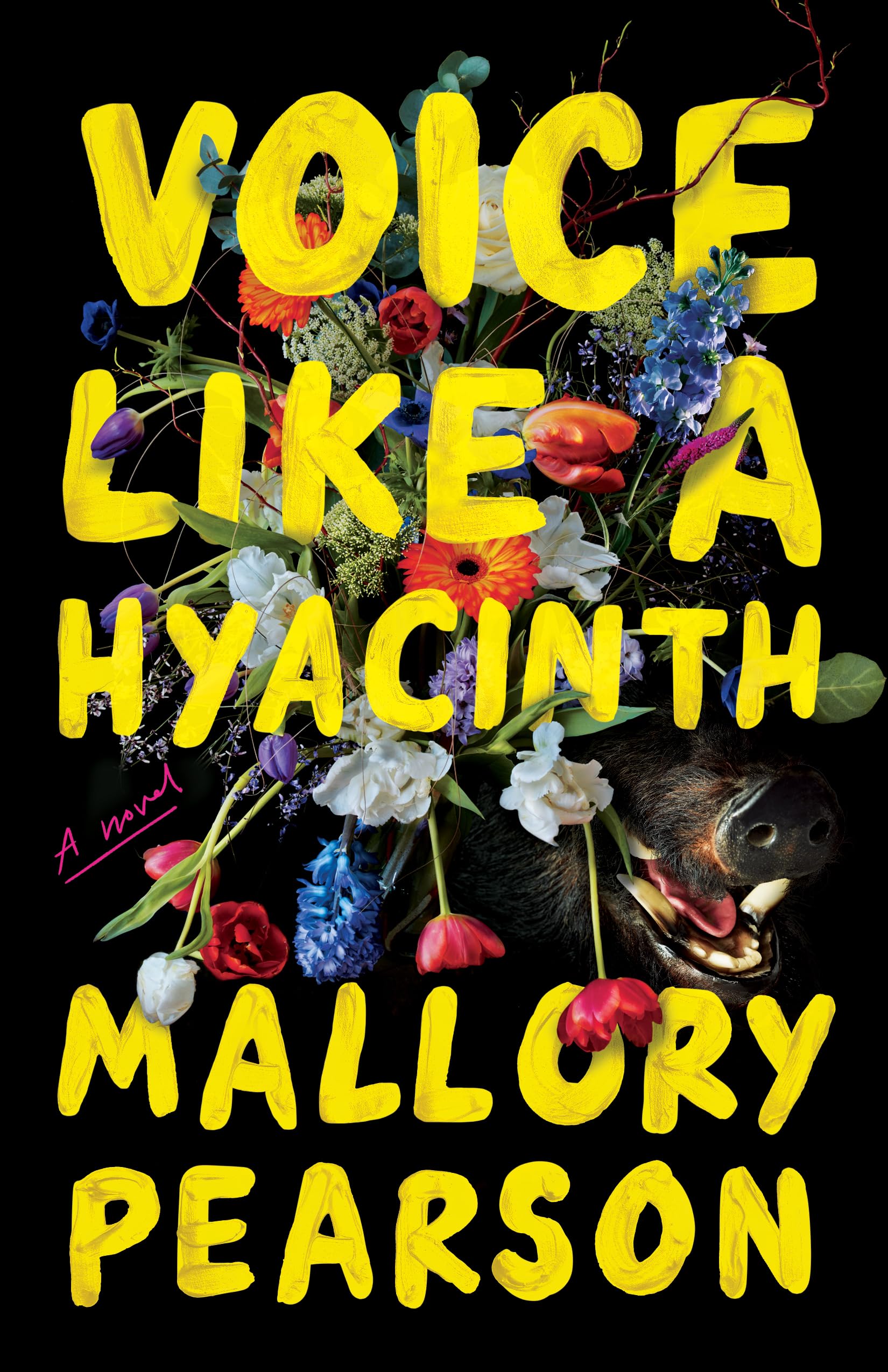 Queer Books To Read if You Love ‘Yellowjackets’ Autostraddle