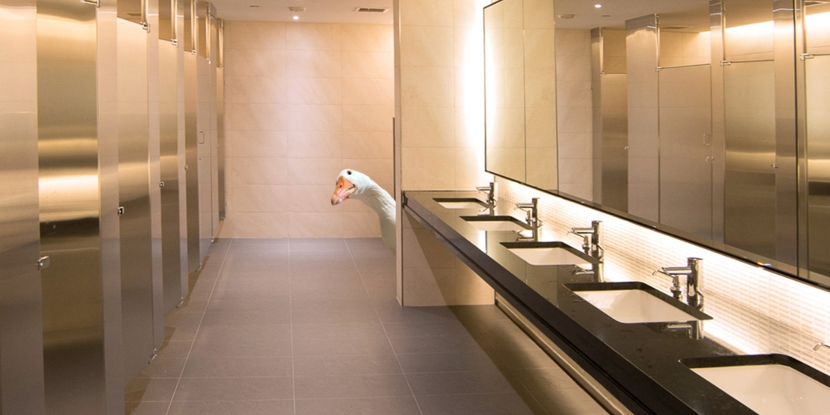 a goose in a bathroom