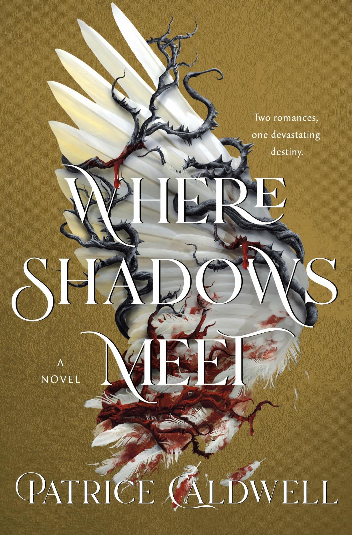 Where Shadows Meet, by Patrice Caldwell (Fantasy)