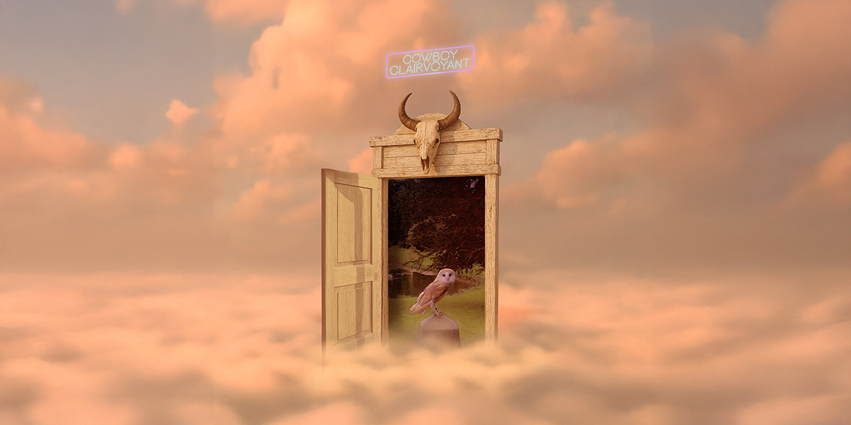 a dream door into an owl