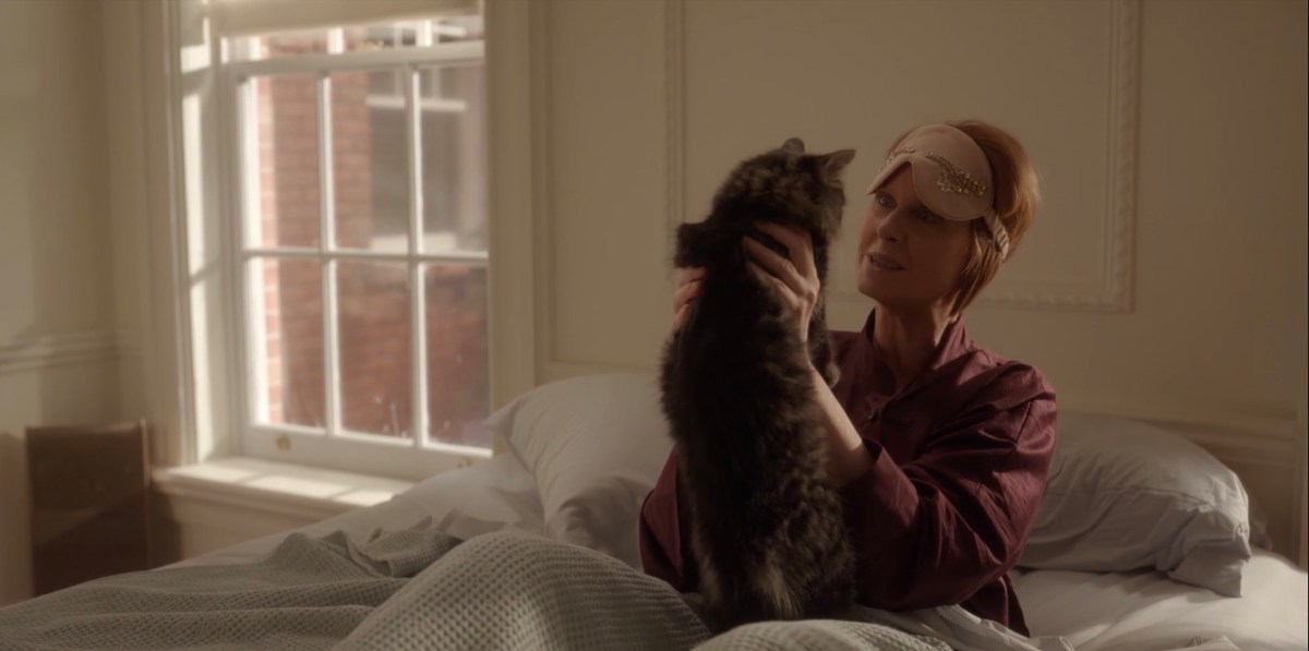 Miranda looking at a cat